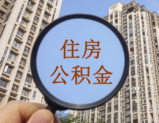 安吉退休后查不到公积金明细了吗（退休后公积金查询不到原因）